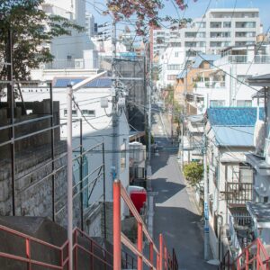日本 2026 留学新政：毕业后求职签证延至 2 年，在...
