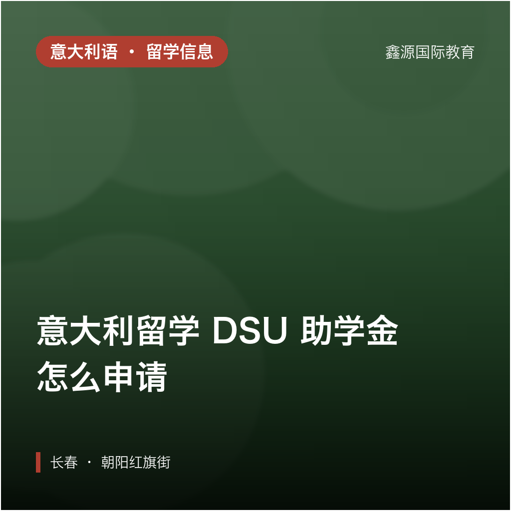 意大利 DSU 助学金怎么申请？｜长春意大利留学