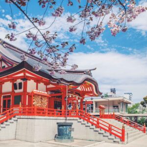 2026年日本留学毕业后想留日工作，人文签和特定技...